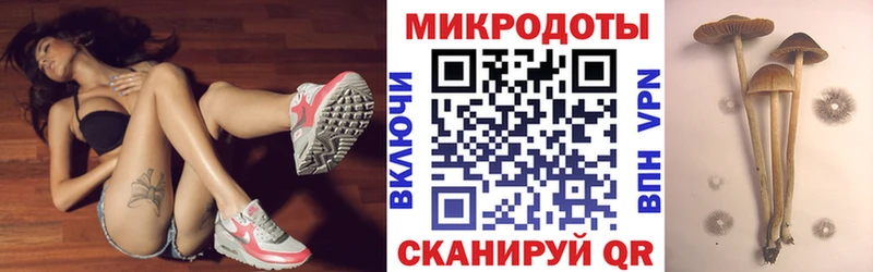 Галлюциногенные грибы мухоморы  Купить закладки  Чехов 